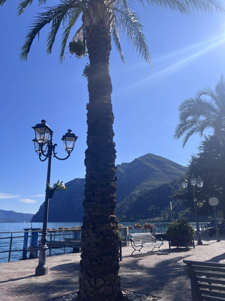 Palm tree and street lamps along the lakeside promenade at Lago d'Iseo, with mountains and calm blue water in the background.